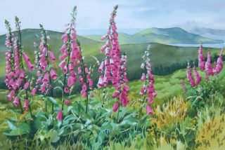 Image shown: ‘On Beara’ by Anne McLeod