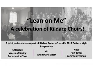 Image shown: Kildare Arts and Wellbeing Culture Night Event