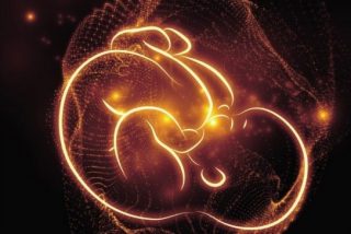 Image shown: CREATION: The Art of Pregnancy and Birth