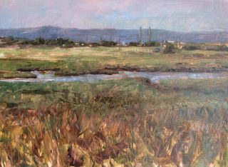 Image shown: Portmarnock estuary © Joanne McAndrew
