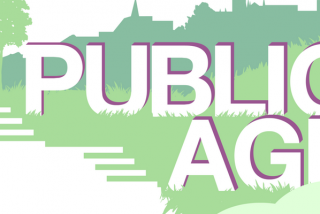 Image shown: The Public Age Project