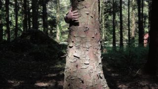 Image shown: Still from Bittersweet